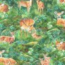 North American Wildlife Rehe
