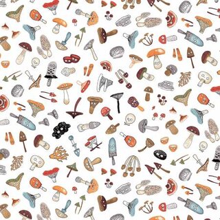 The Mushroom Club Pilze