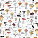 The Mushroom Club Pilze