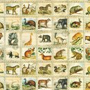 Library of Rarities Tiere