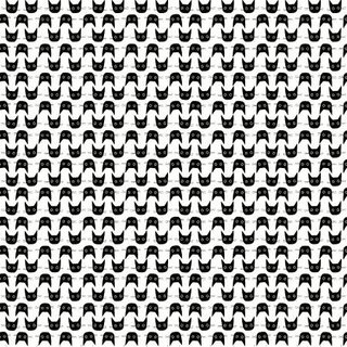 White Cat Heads Katzen