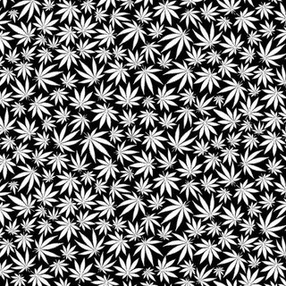 Cannabis - leucted im Dunkeln