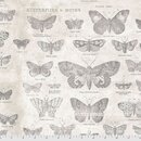Monochrome Schmetterlinge