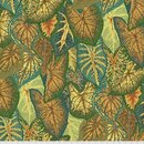 Caladiums