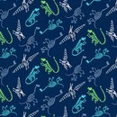 Dinosaur Fossils