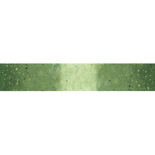 Ombre Galaxy Evergreen