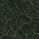 Star Maps metallic