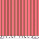 Tent Stripe Nova