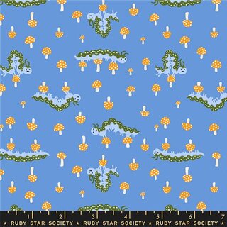 Hello Alice-Caterpillar