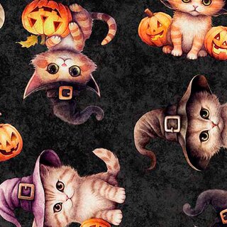 Halloween Kittens