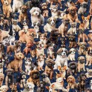 Pack of Puppies