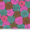 Picotee Carnations