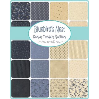 Bluebirds Nest