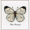 Wei�er Schmetterling