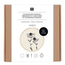 Stickpackung Echinacea