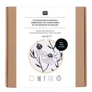 Stickpackung Echinacea