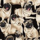 Design Mops