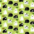 Cat Dreamers