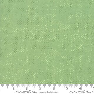 Spotted Celadon